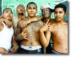 Pandilla MS-13